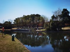 -院士公园