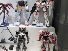 -台场海滨公园船码头