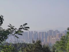 -桃花岭景区