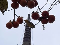 -吴作人艺术馆