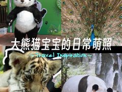 -五龙山野生动物王国