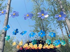 -合肥滨湖国家森林公园