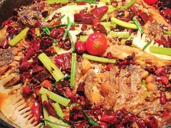 -老板恋上鱼(振华商厦店)