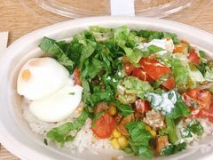 -油梨树AVOCADO TREE(望京店)