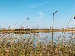 -塞罕坝国家级自然保护区