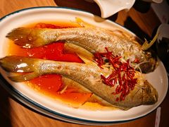 油泼黄花鱼-波螺油子青岛本帮菜(银座店)