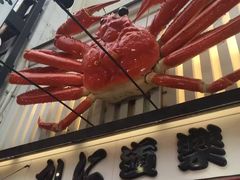 -蟹道乐(道顿堀本店)