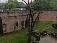 -南昌动物园