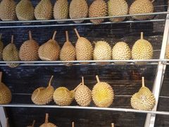 榴莲-都念榴莲·城市榴莲