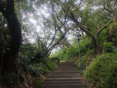 -青芝山风景名胜区