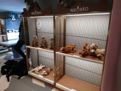 -超级奈尔宝SUPER NEOBIO(杭州星光店)