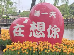 -上海鲜花港