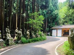 -武陵山森林公园