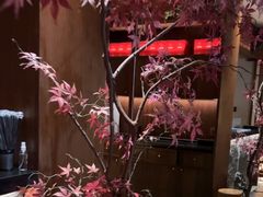 -揽季锅物会.福建黄鱼.海鲜姿造(五四路店)