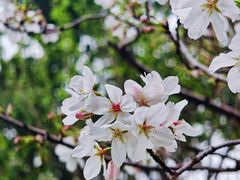 -上海杨姆庄园