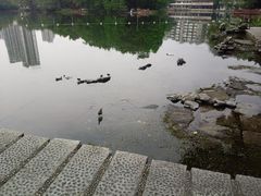 -荔湾湖公园