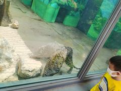 -昆明动物园