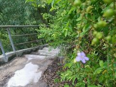 -粮丰园(光华店)