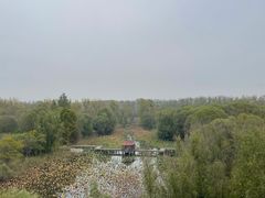 -微山湖红荷湿地景区
