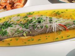 鸡汤蒸博湖翘嘴鱼-帕米尔食府(白云观店)