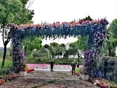 -春花秋色城市公园