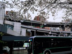 -上海南浦大桥长途旅游客运站