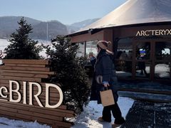 -中旅松花湖滑雪场
