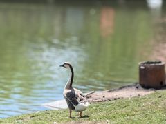 -鄂尔多斯野生动物园