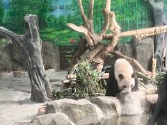 -灵玲国际马戏城