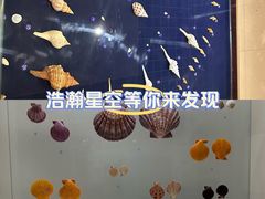-青岛贝壳博物馆