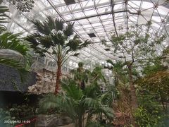 -北京植物园-展览温室