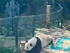 -大连森林动物园