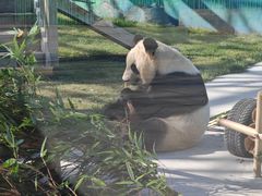 -鄂尔多斯野生动物园