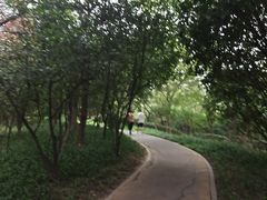 -四里河滨水生态公园