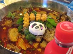 -怂猫抓子·成都冒烤鸭