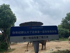 -常州淹城野生动物世界