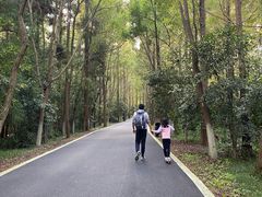 -上海怡沁园度假酒店