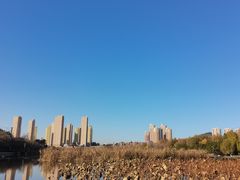 -前关湿地公园
