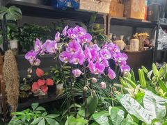 -何兮花店·气球派对鲜花店(马桥银春路万科城店)