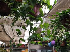 -秦美花卉(天朗·莱茵小城2期店)