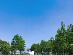 -滆湖低碳生态公园