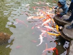 -广州花园酒店
