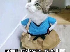 -味多美蛋糕(航天桥店)