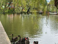 -长兴太湖图影湿地文化园