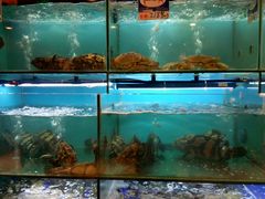 水产区-南海渔家•海鲜•正宗海南菜(海棠湾店)