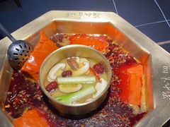 -蜀九香火锅(彩虹店)