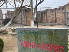-汤山公园