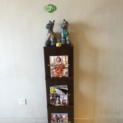 点击看大图 -净妍美肌专业净毛嫩肤连锁机构