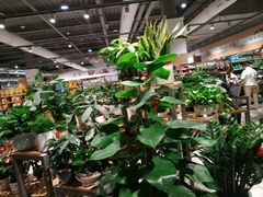 -大润发(南湖店)