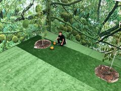 -都念榴莲·城市榴莲